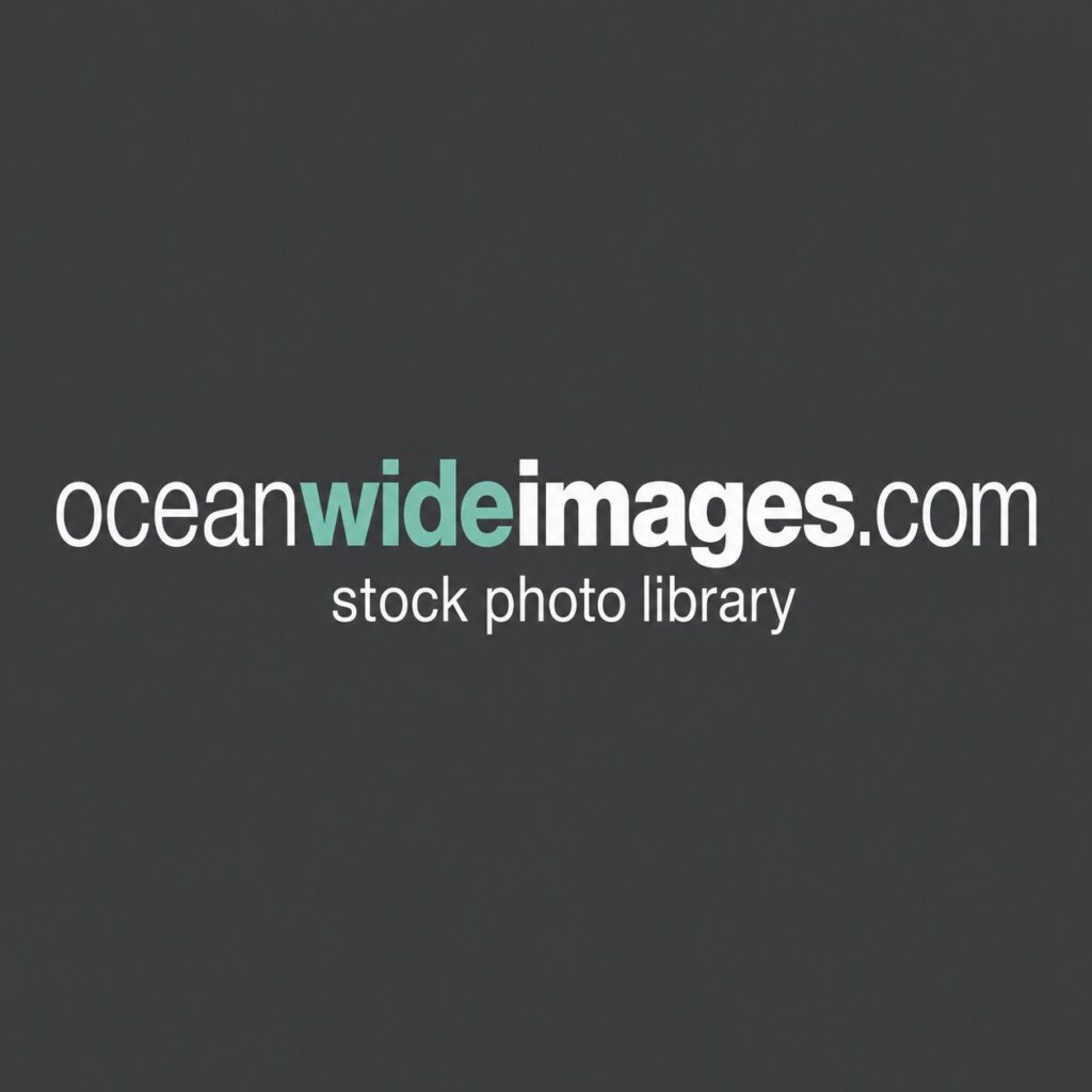 OceanwideImages-Logo1